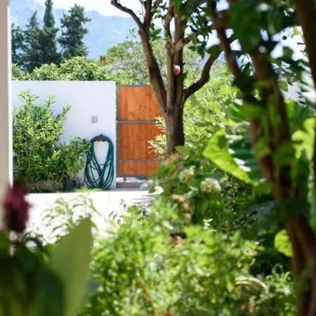 Holiday Floreat - Four Bedroom Holiday With Pool And Terrace